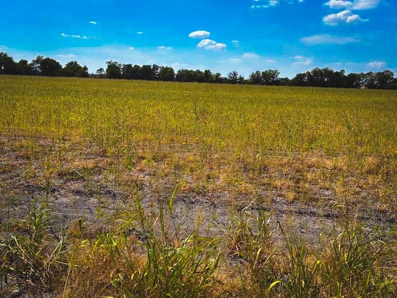 CR 3061 lot 2 Hwy — photo 1