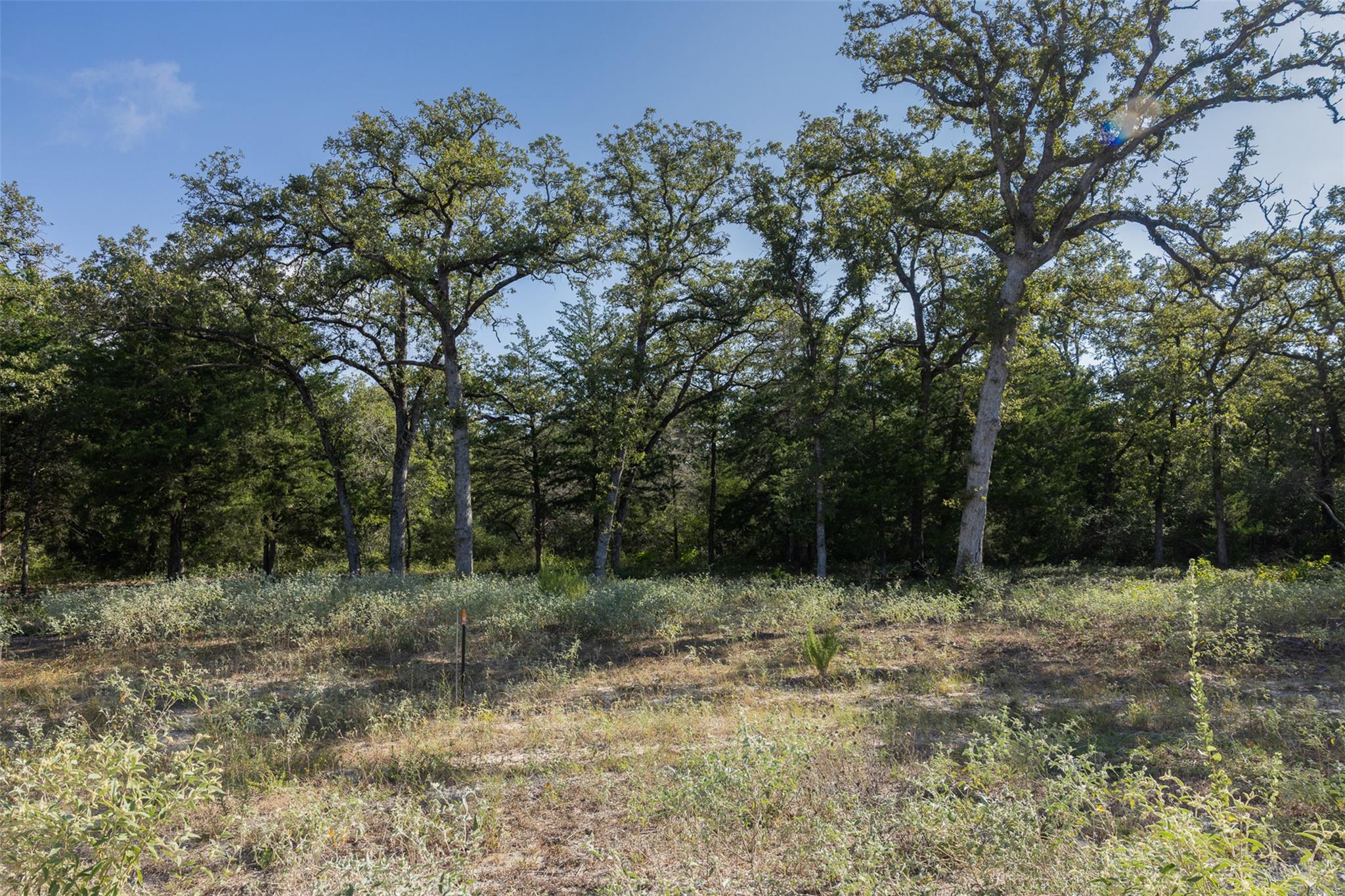 180 Autumn Oak Ct — photo 1