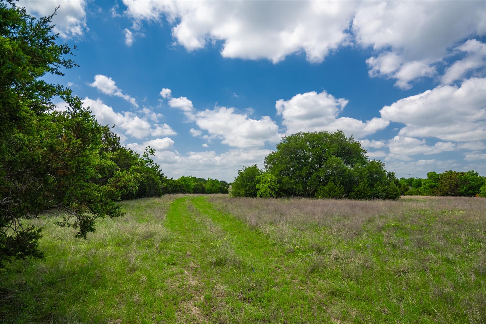 1519 FM 2490 None — photo 1