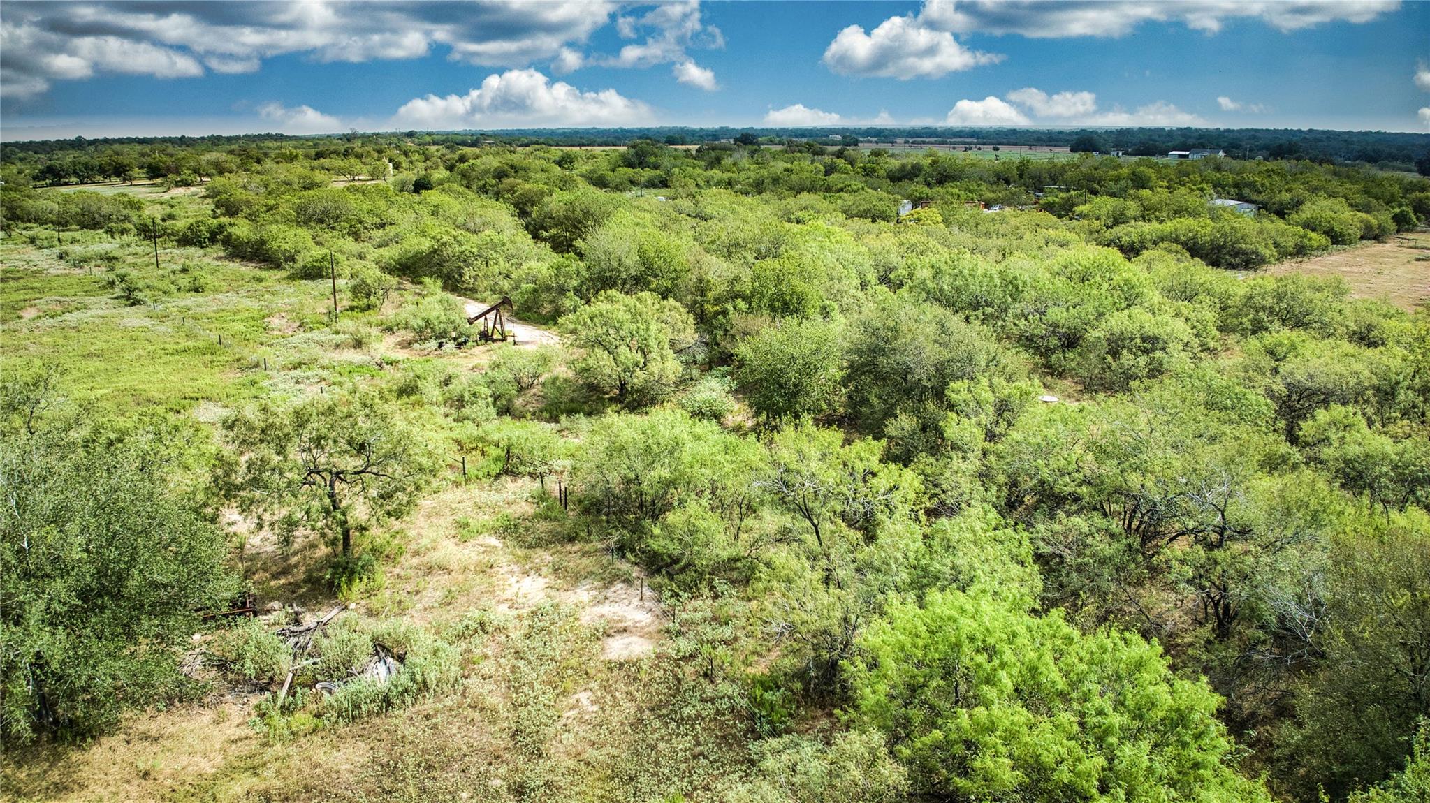 2900 Salt Flat Rd — photo 1