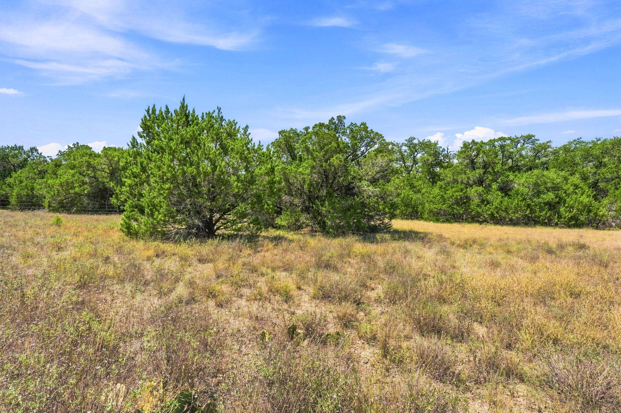 TBD Lot 2 Lipan Run — photo 1