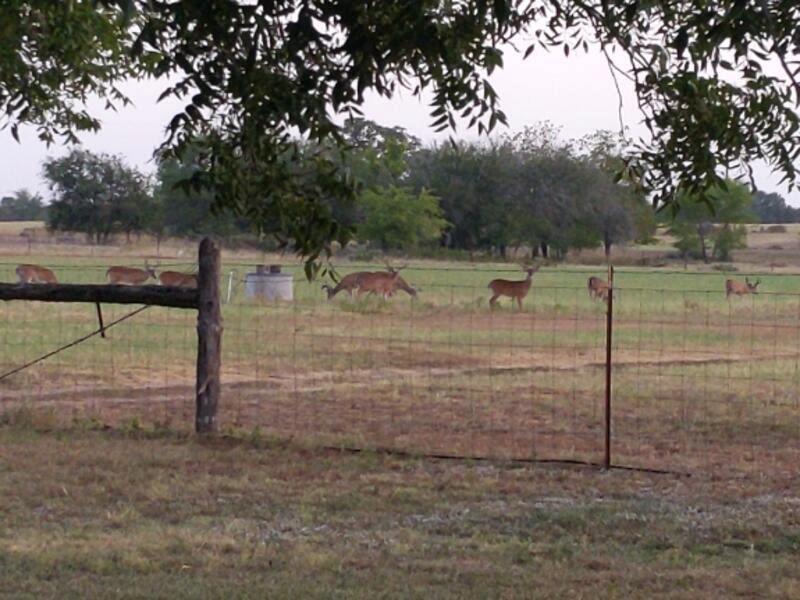 10905 fm 1915 fm1915 Hwy — photo 1
