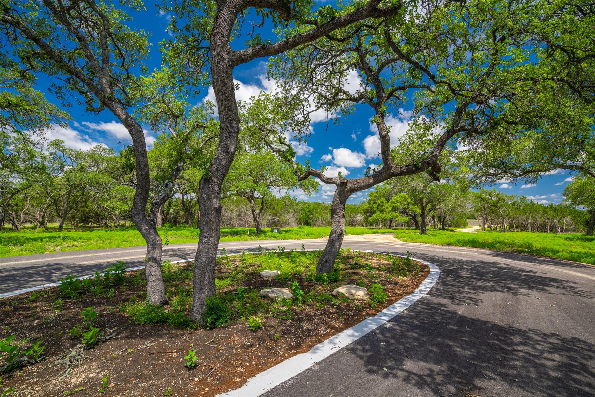 Lot 8 FM 32 None — photo 1