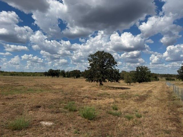 114 Sunny Day Dr — photo 1
