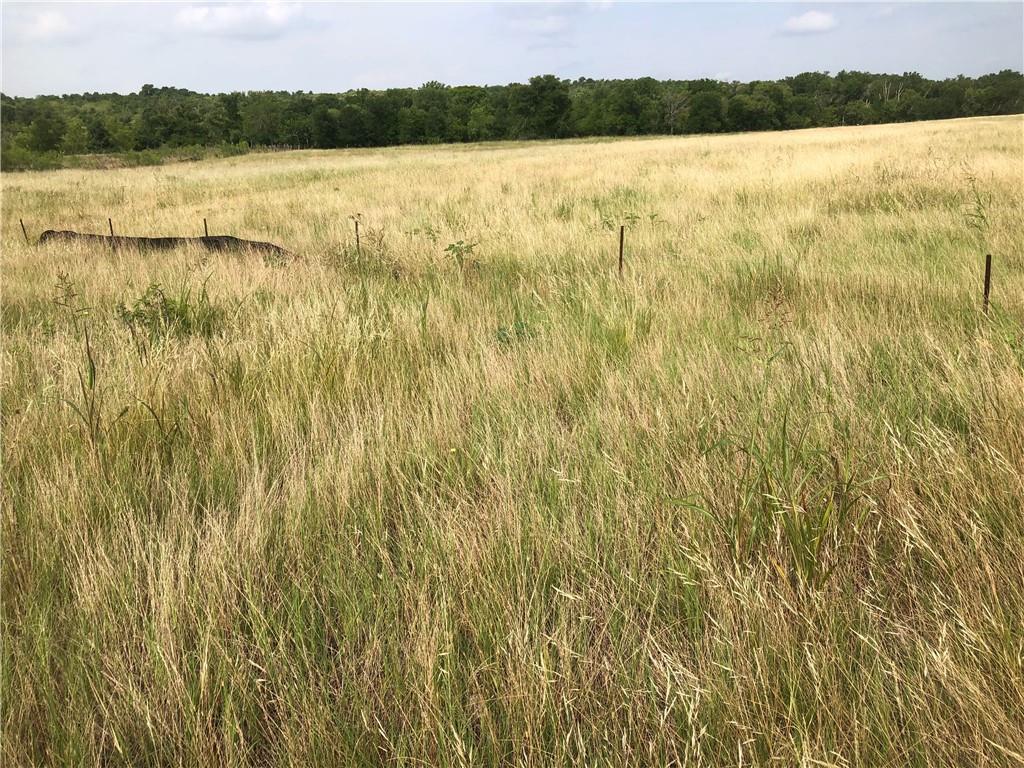 TBD Camino Real None — photo 1