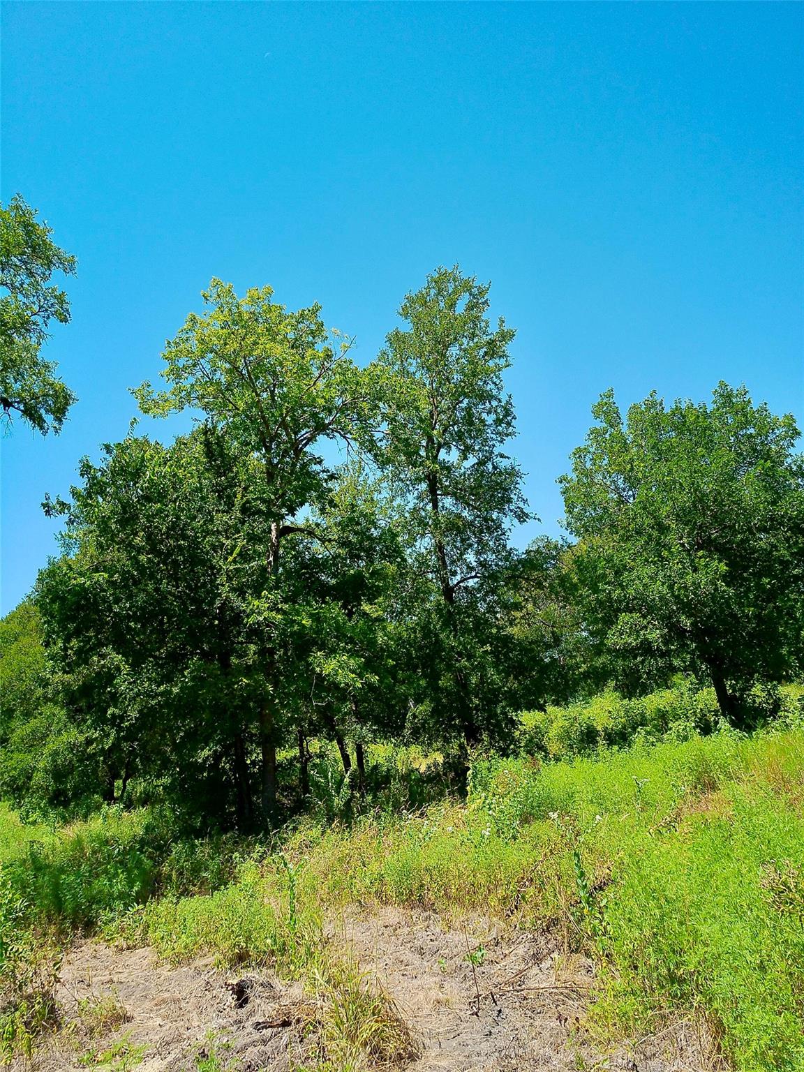 Lot 22 Serenity Dr — photo 1