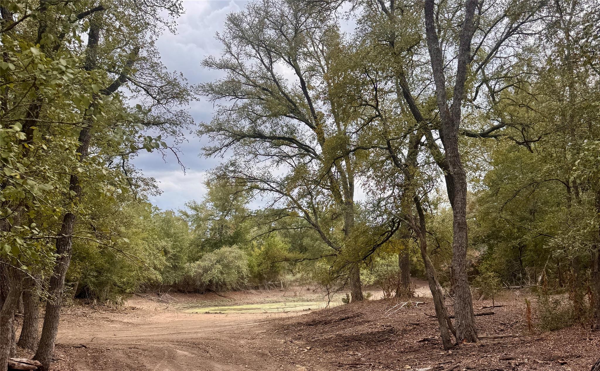 12 Acres Mt Pleasant Rd — photo 1