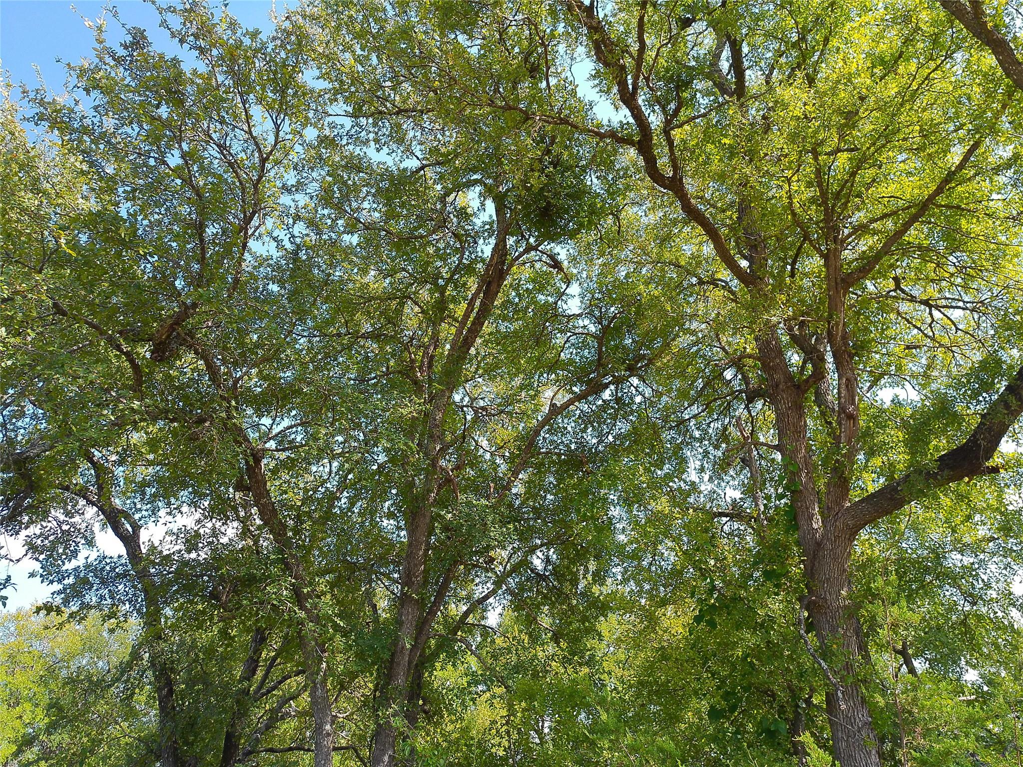 Lot 33 Serenity Dr — photo 1