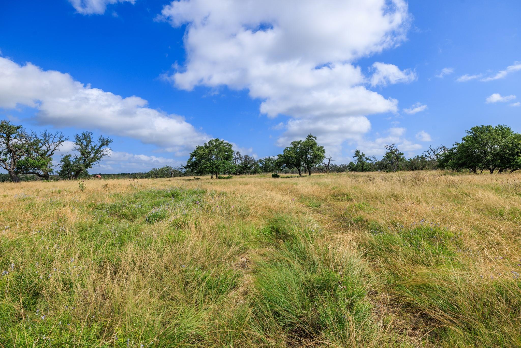 436 Stevens Ranch Rd — photo 1