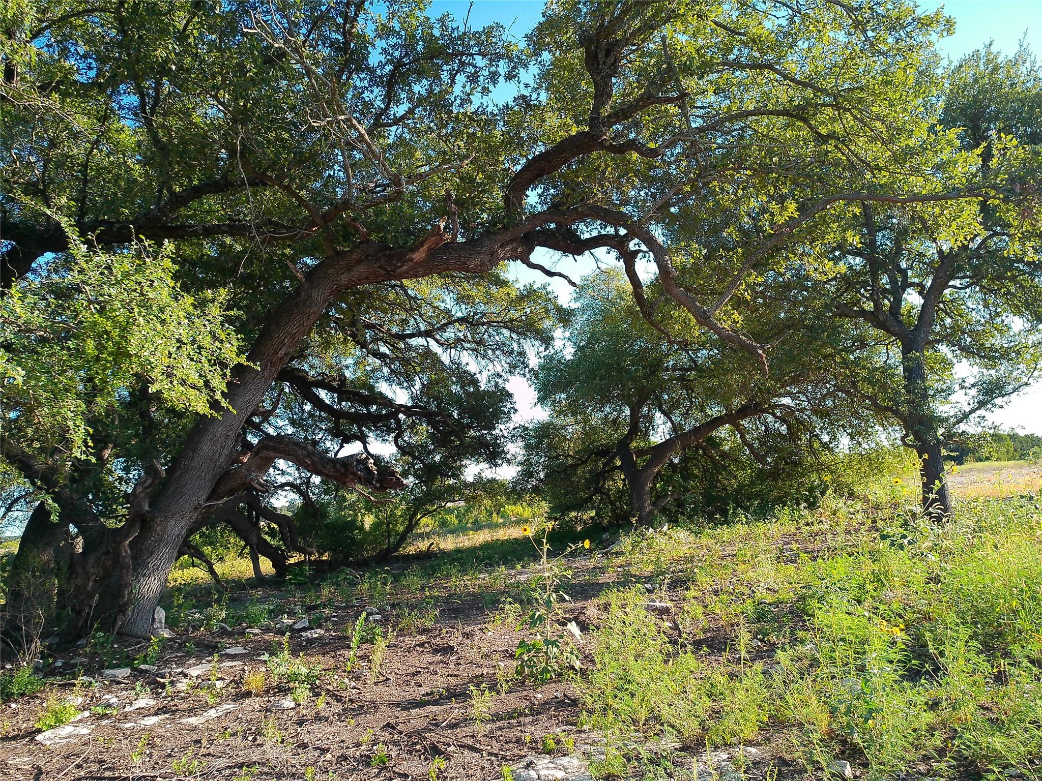 Lot 42 Serenity Dr — photo 1