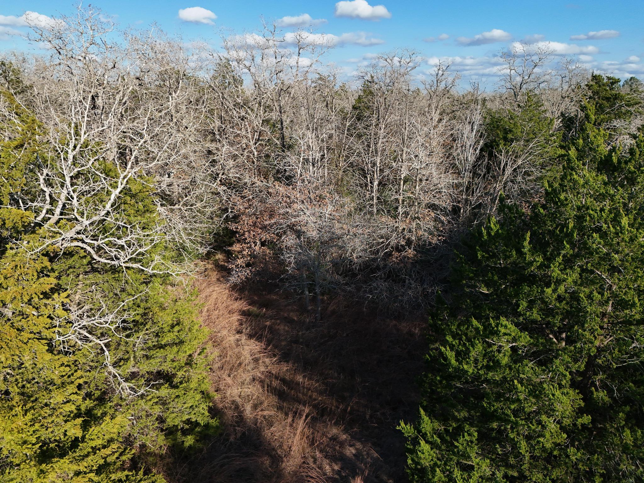 Lot 14 & Lot 15 Antioch Rd — photo 1
