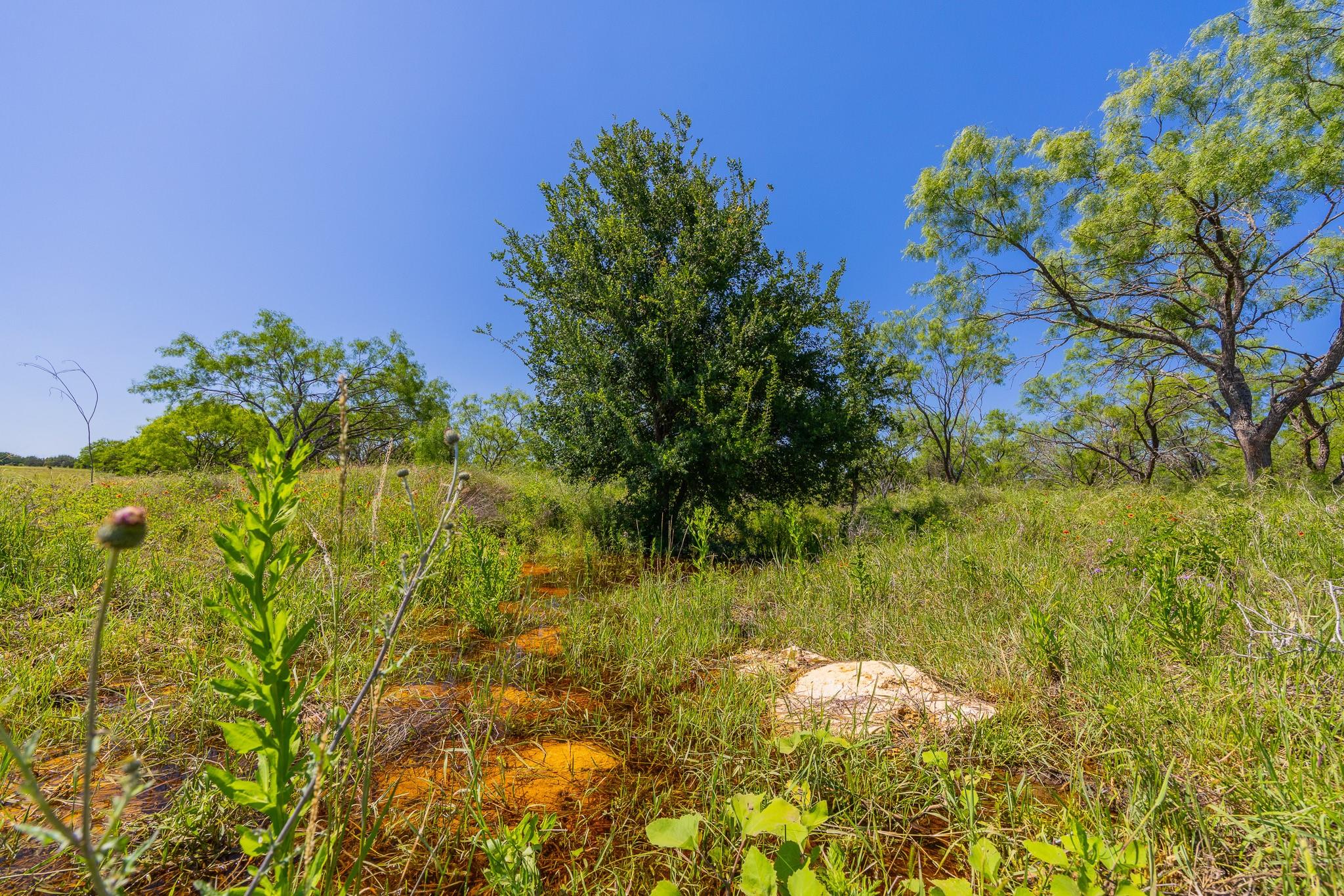 TBD Hidden Pond Ranch County Road 180 Rd — photo 1