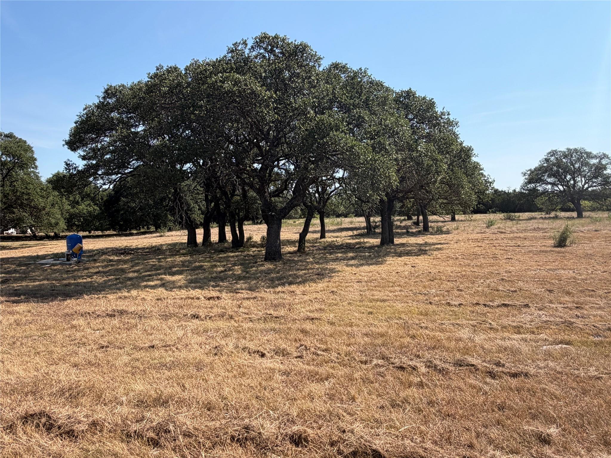 463 Rolling Hills Dr — photo 1