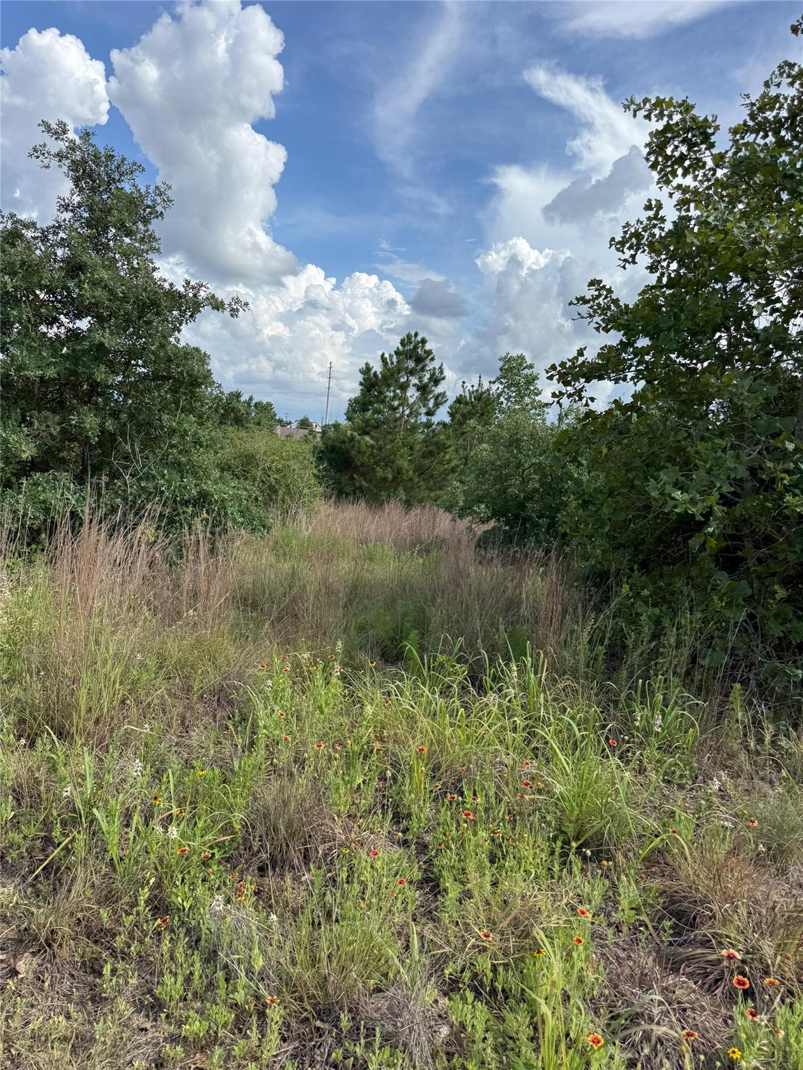 Lots 88, 89, 90 Pintail Ln — photo 1