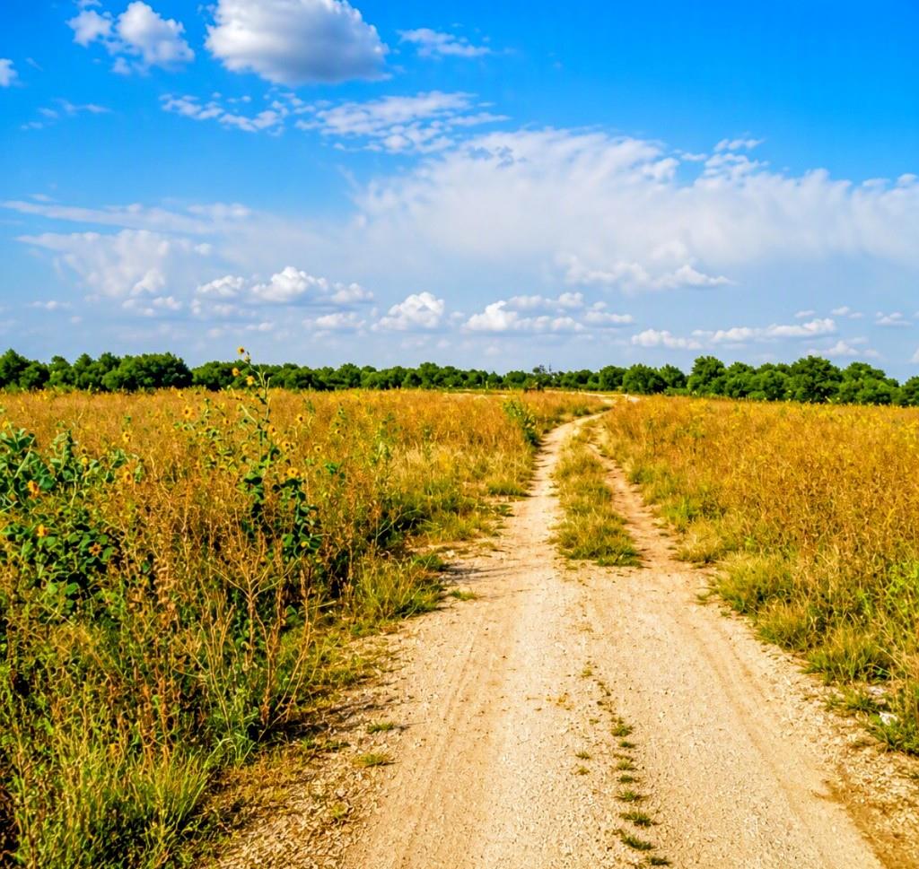 12230 Highway183 Hwy — photo 1