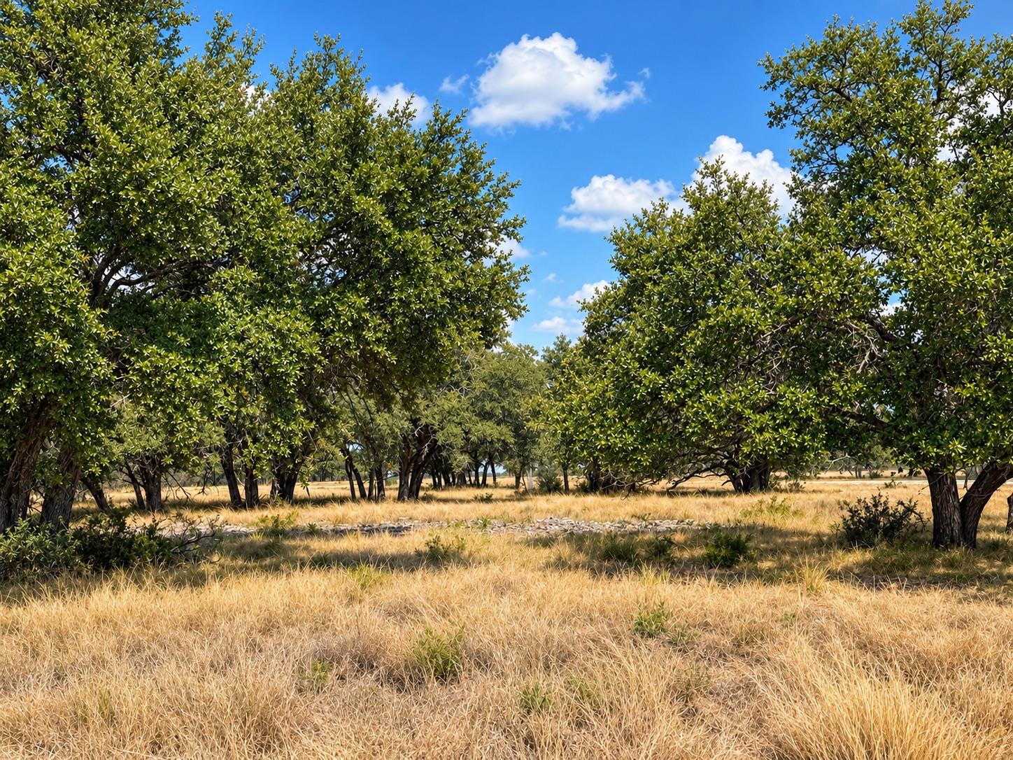 LOT 123 Fallow Drive Dr — photo 1