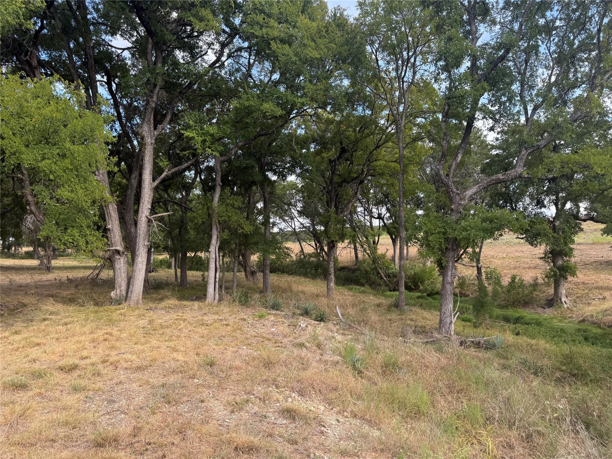 TBD Lot 6 County Road 1320 None — photo 1