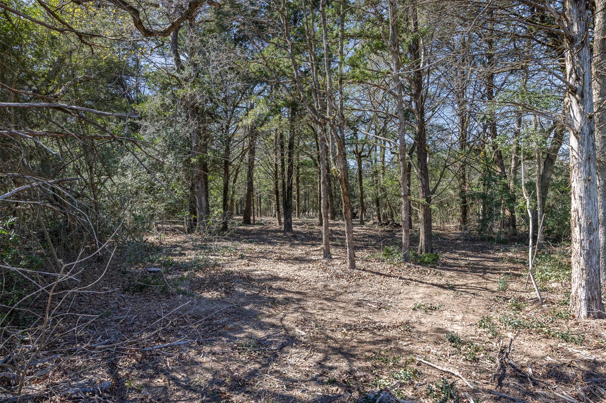 4.81 AC Pauline Ln — photo 1