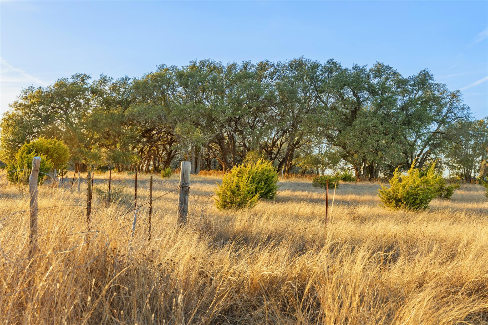 TBD Terra Rosa Ln — photo 1