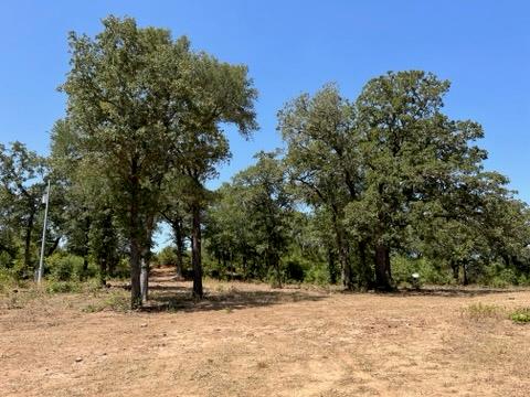 452 Wilhelm Way — photo 1