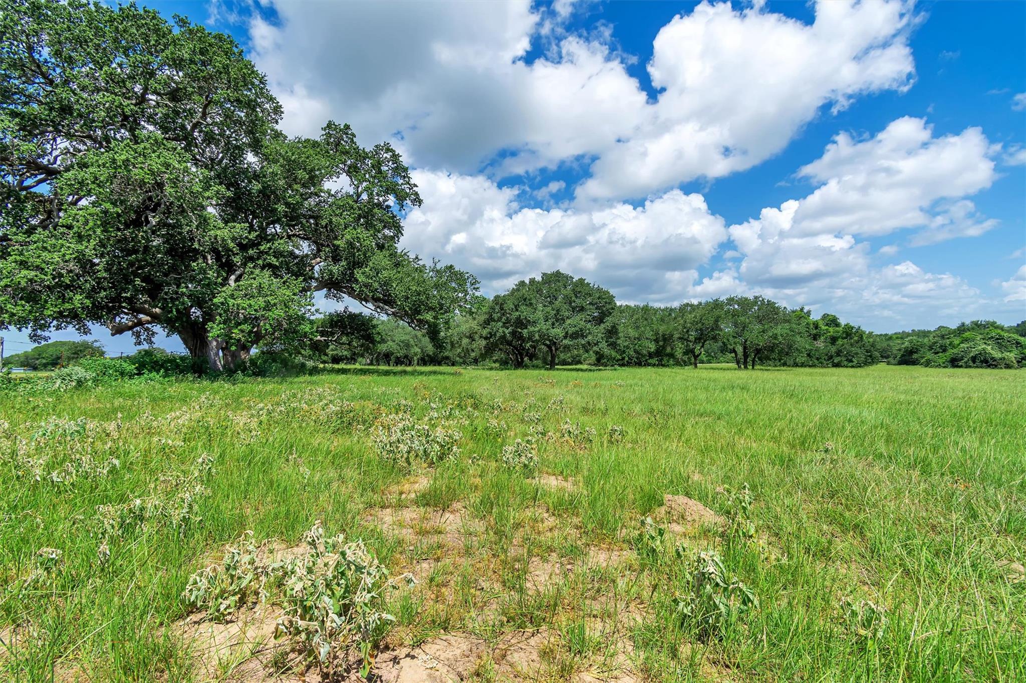 000 Old Cuero Rd — photo 1