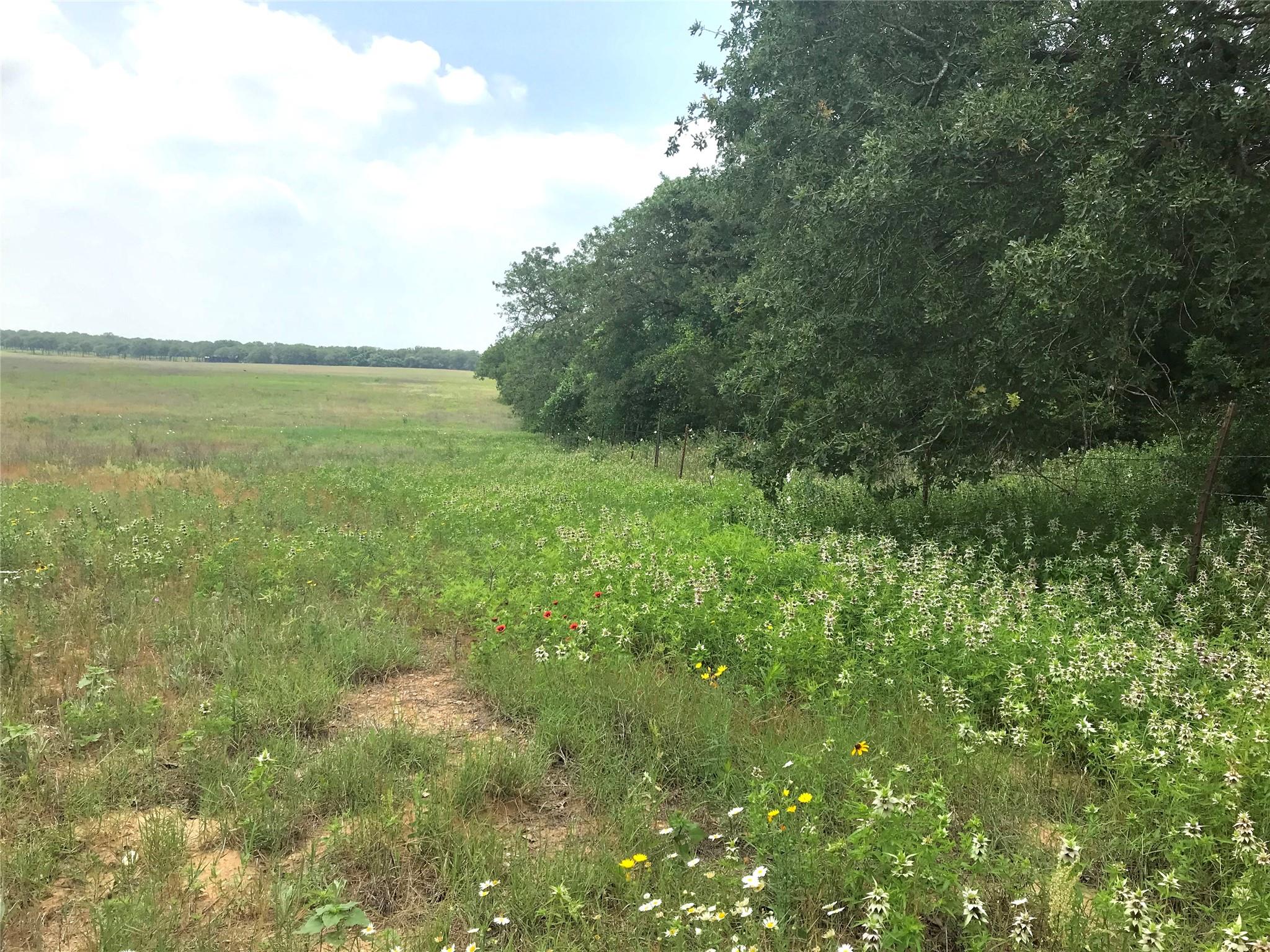 1672 Sayers Rd — photo 1
