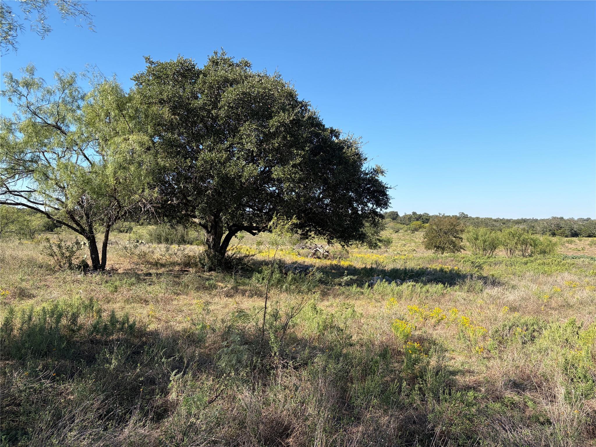 2965 Old Marble Falls Rd — photo 1