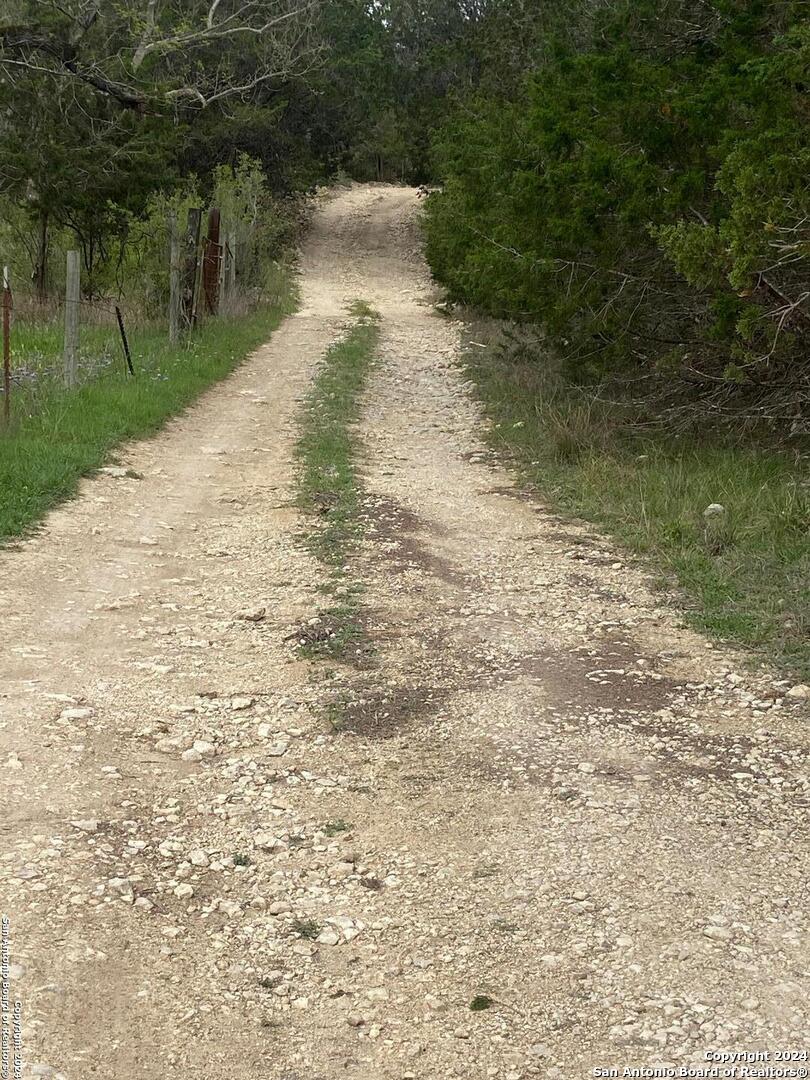 Tbd Bisonte Rojo (Mesa Verde Park) — photo 1