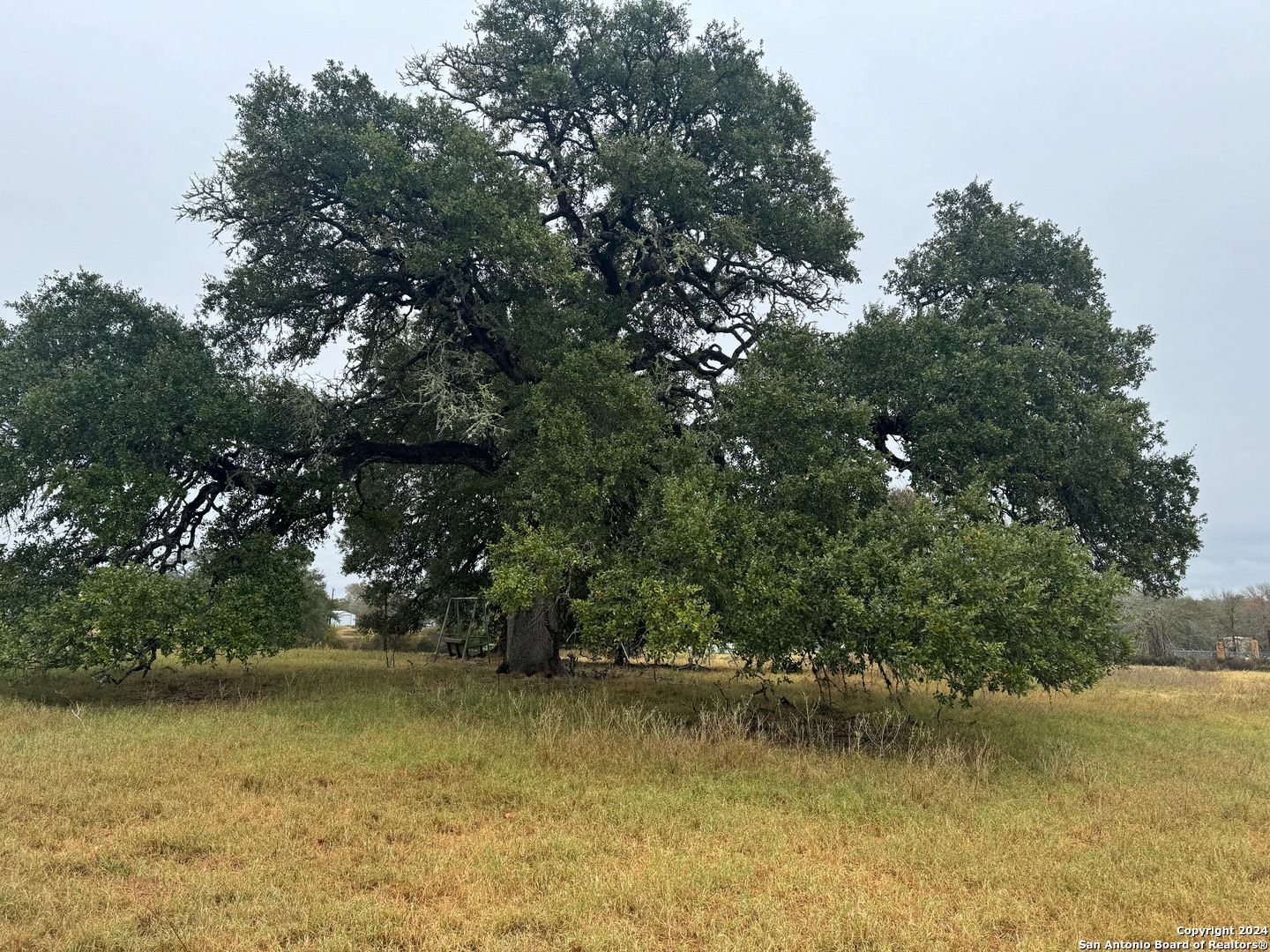 3841 State Hwy 159 — photo 1