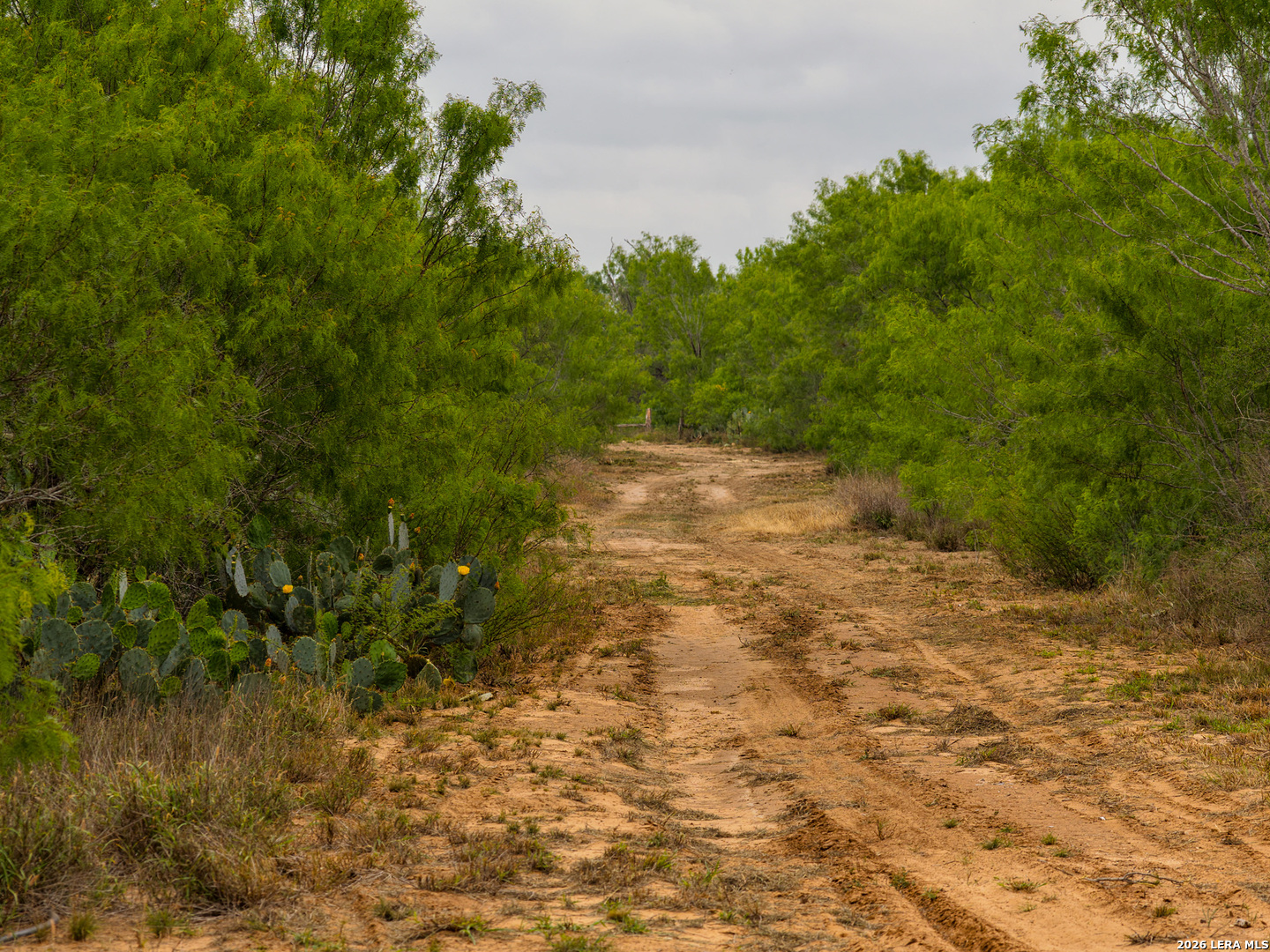6 FM 1581 — photo 1
