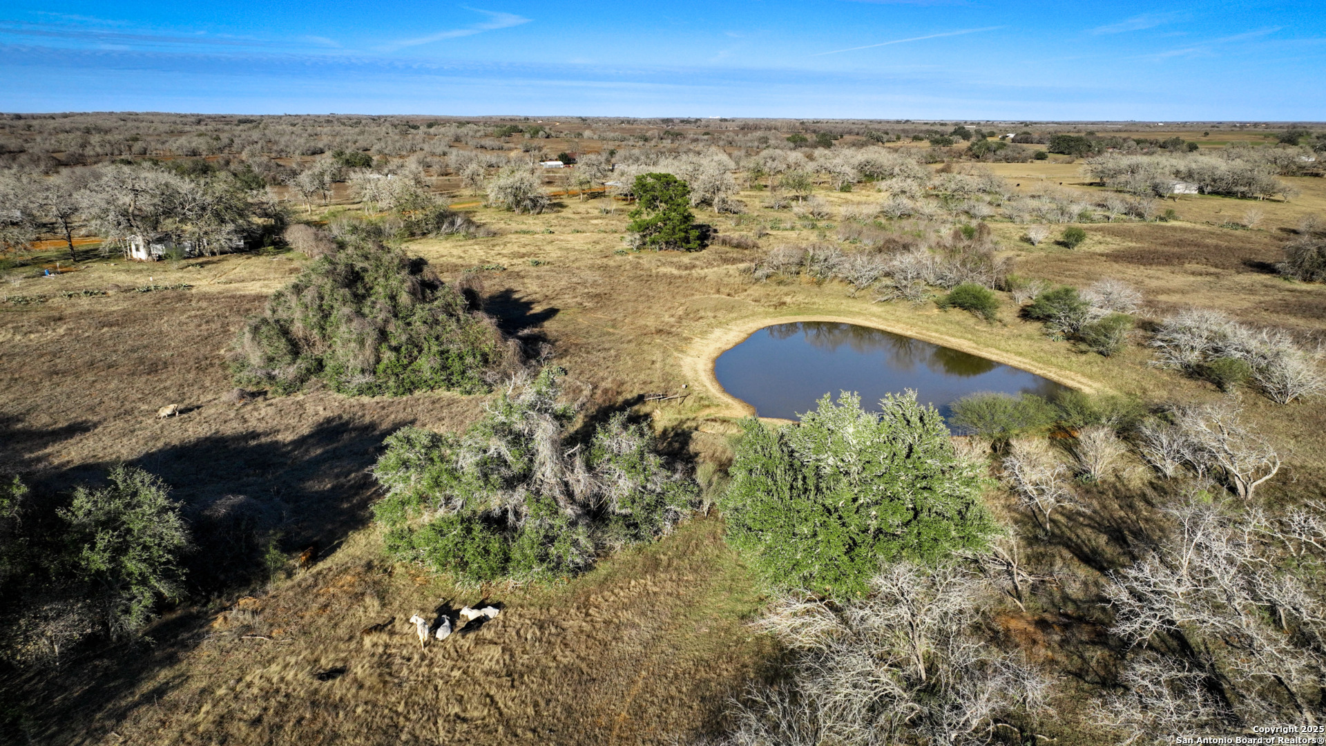 50+/- Acres FM 1681 — photo 1