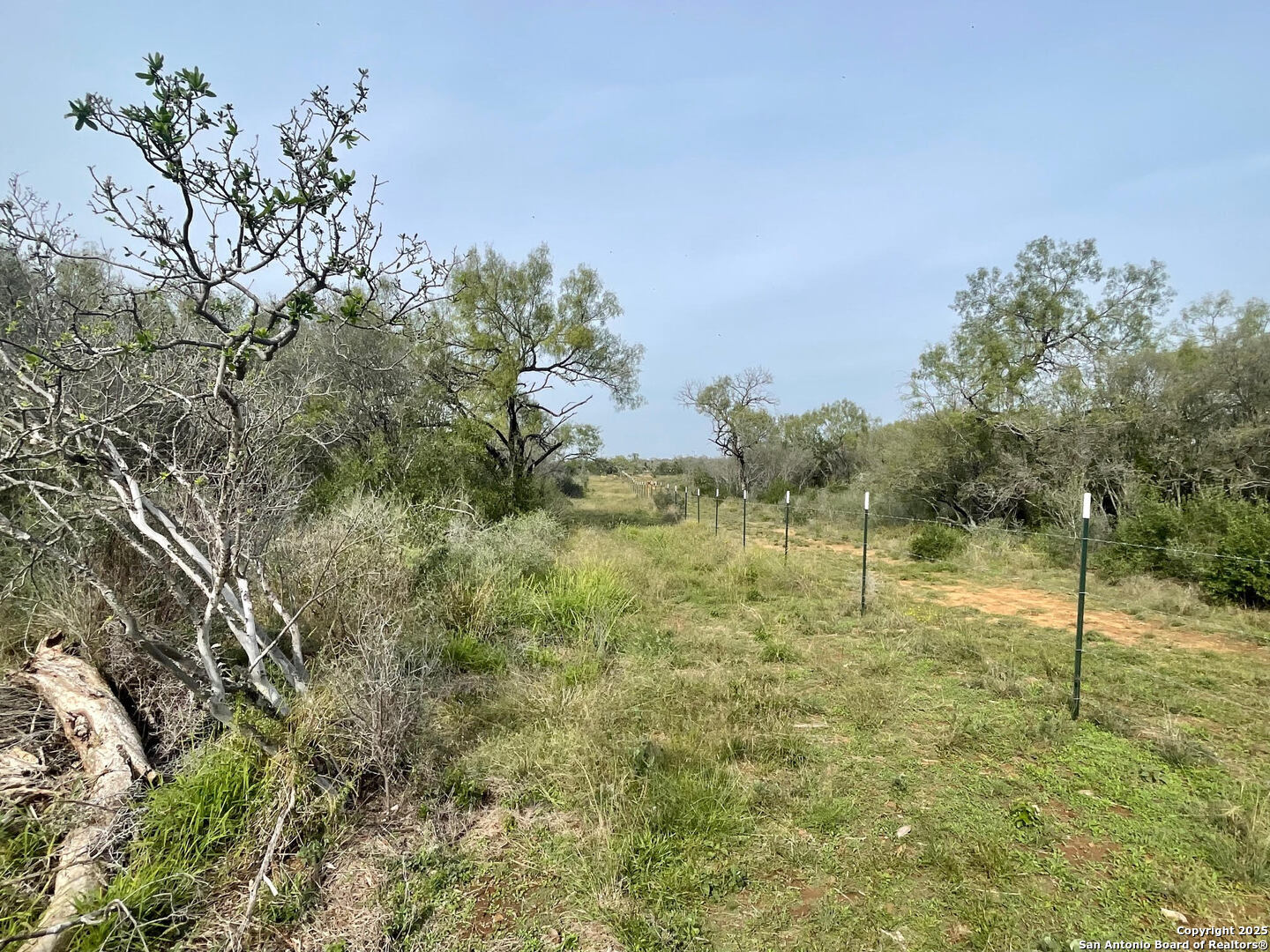 169 County Road 1670 — photo 1