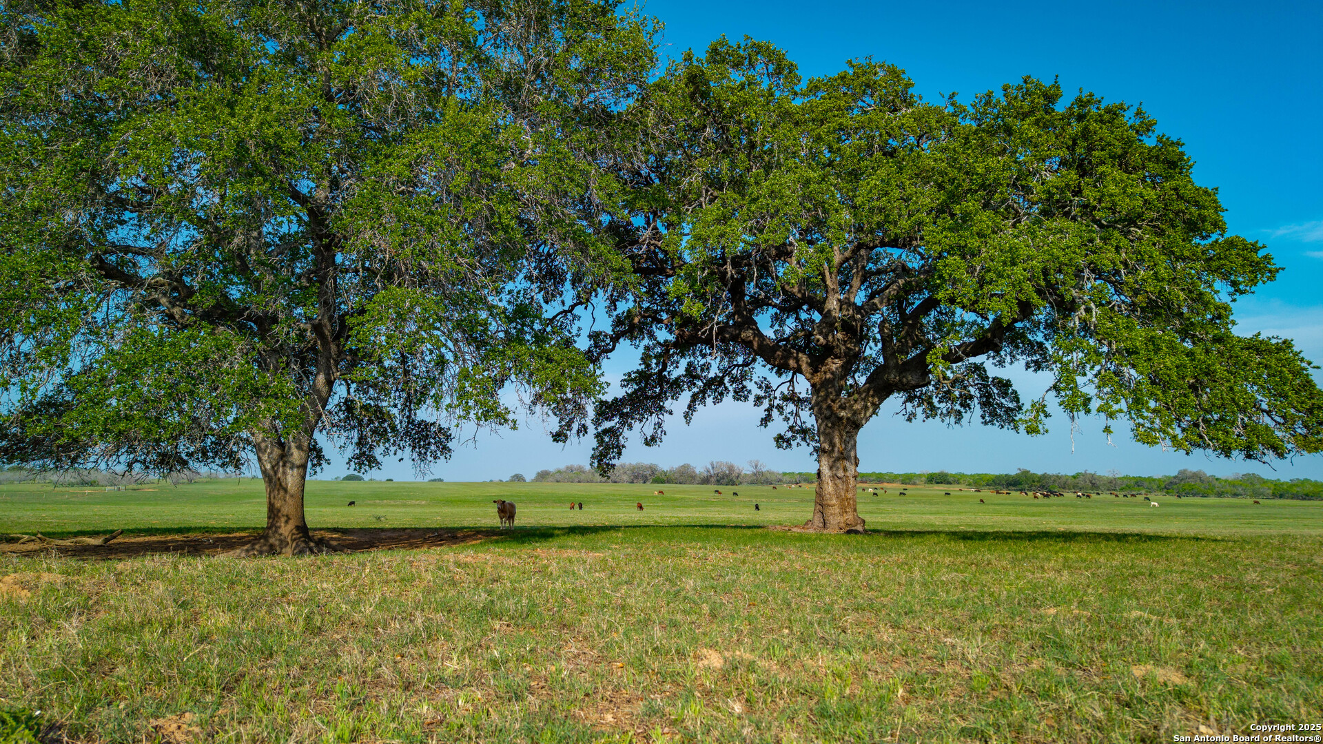 Tbd County Road 404 — photo 1