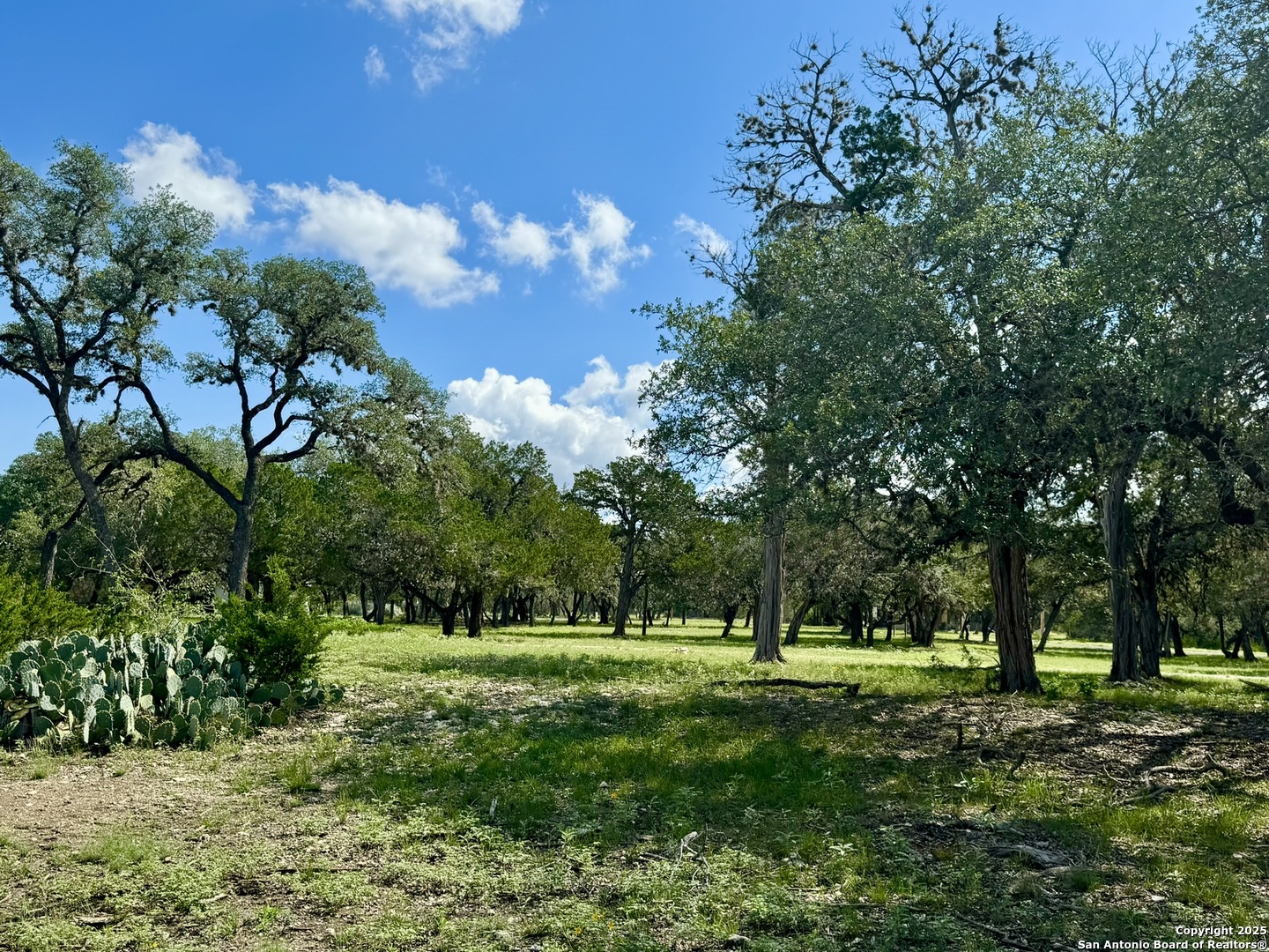 101 Patterson Dr — photo 1