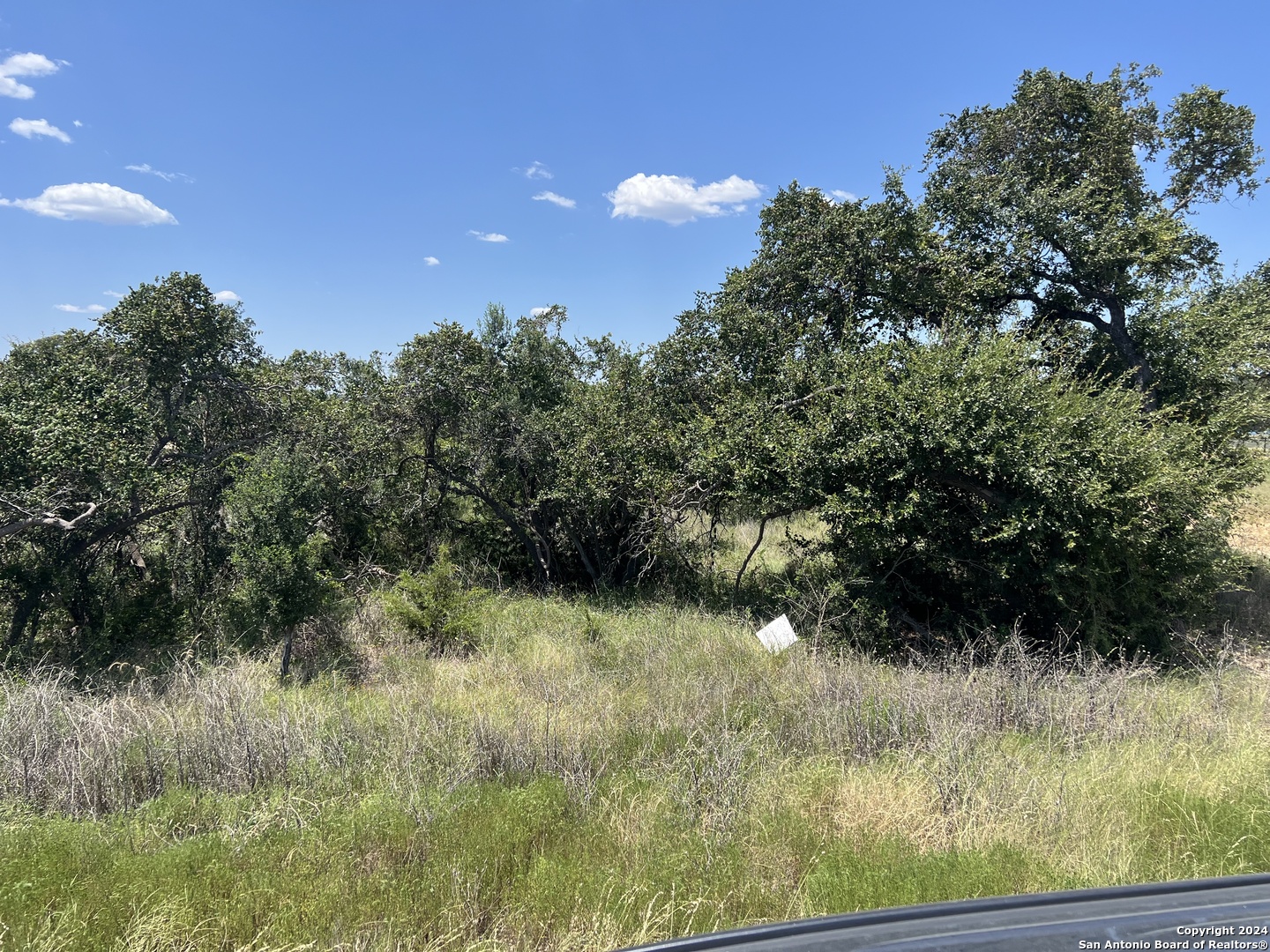 34717 Carries Creek — photo 1