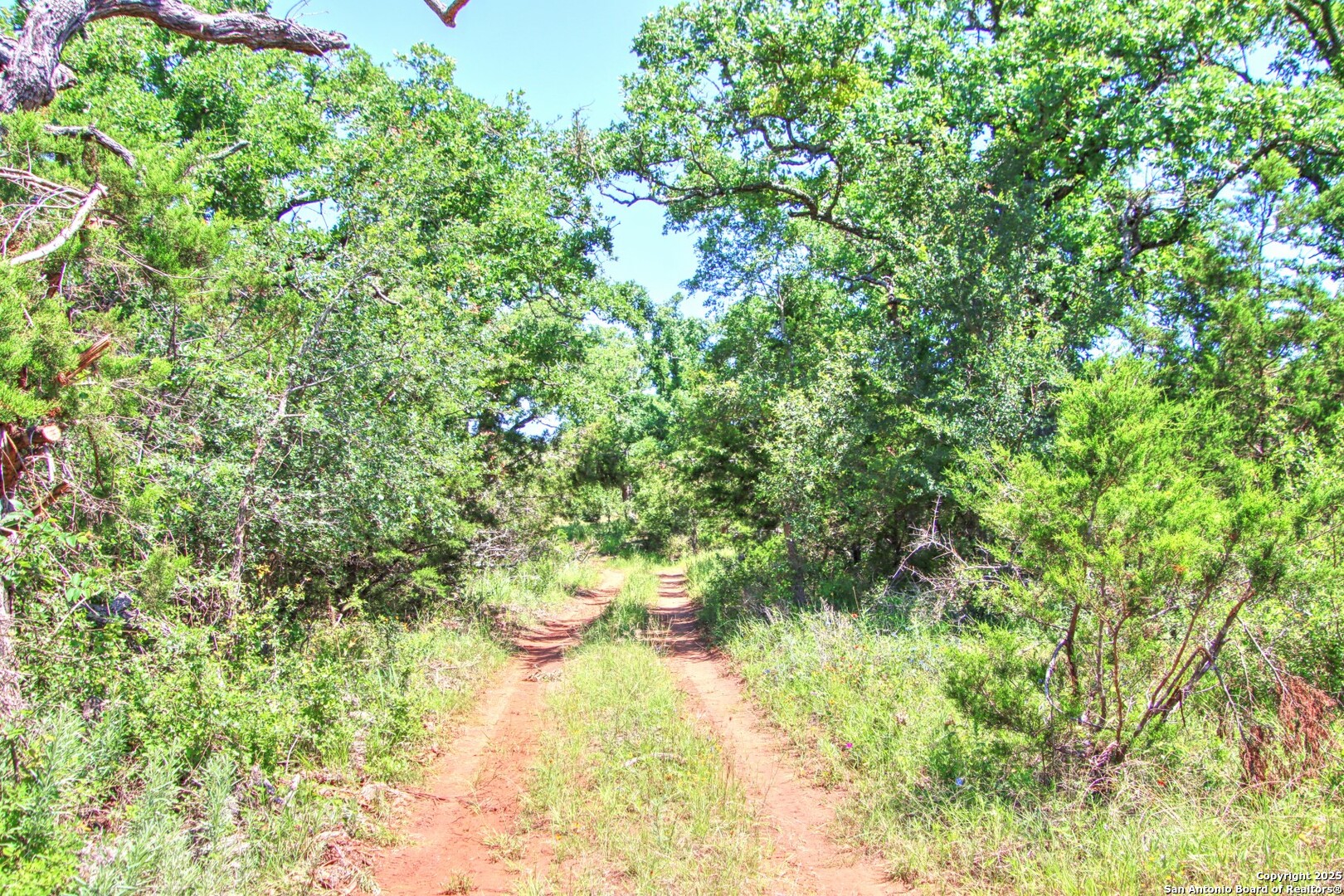 Lot 6 RR 1323 — photo 1