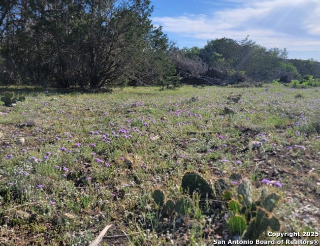 00 Newby Hills Ranch — photo 1