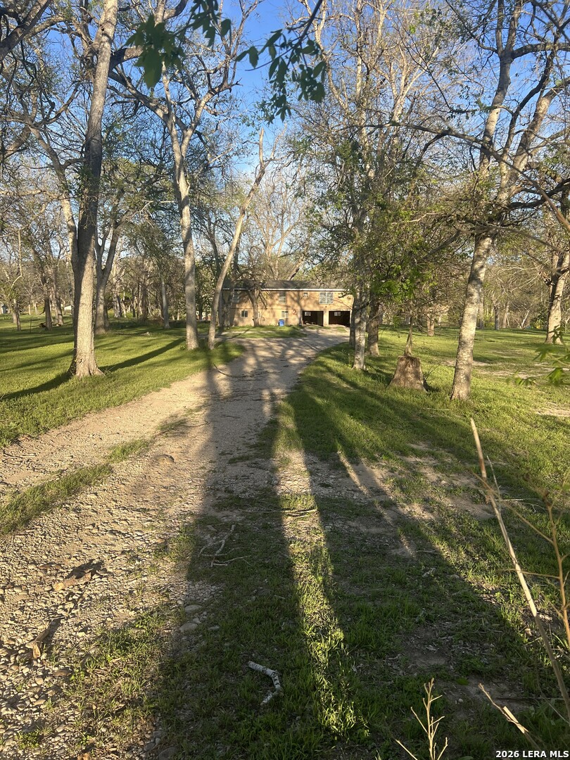 Photo 4