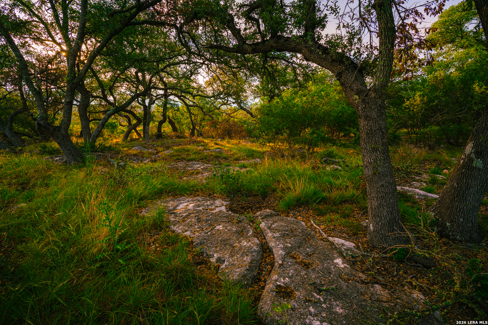 000 Rambling Oaks Ranch — photo 1