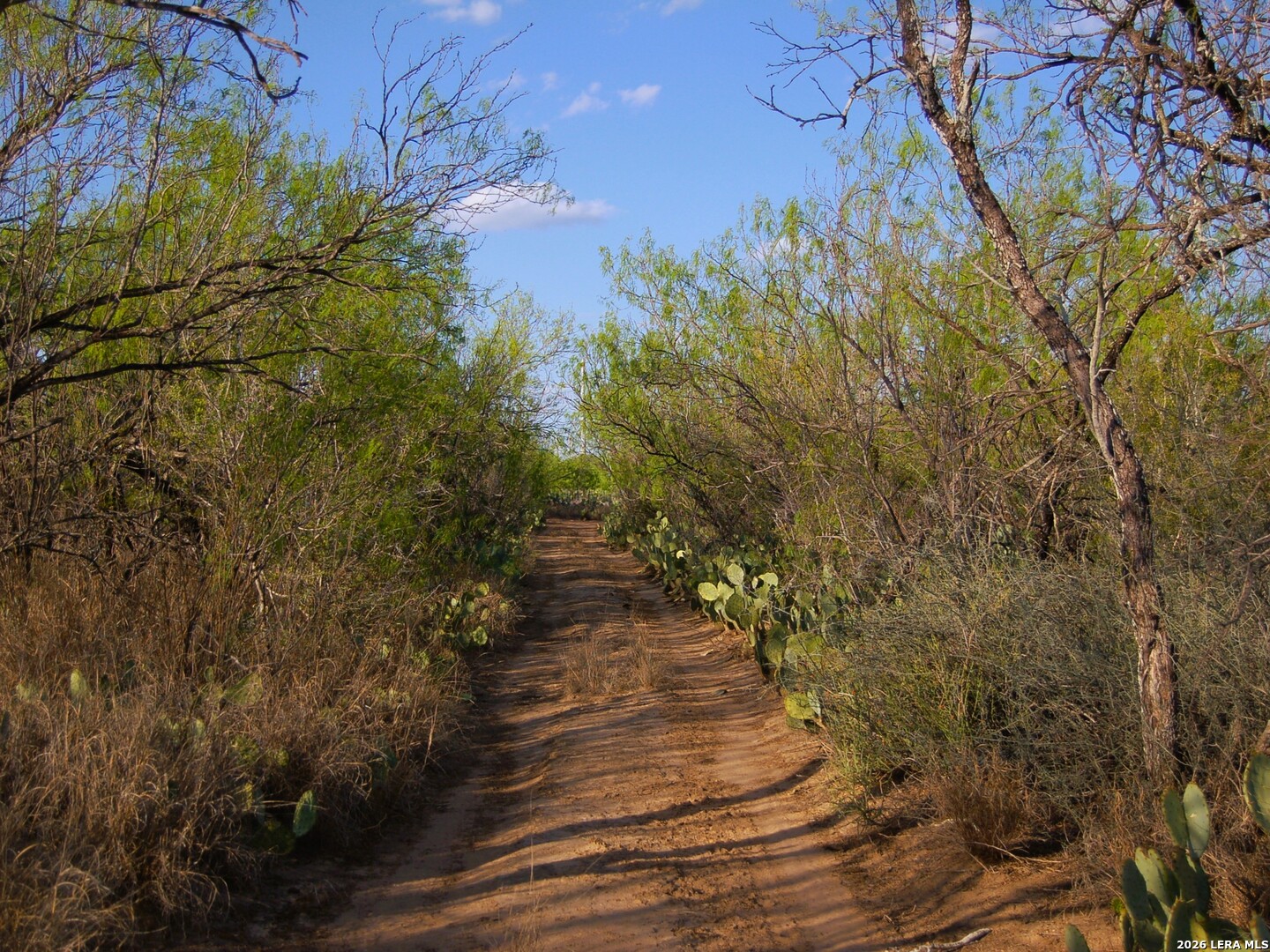 Tbd FM 186 — photo 1