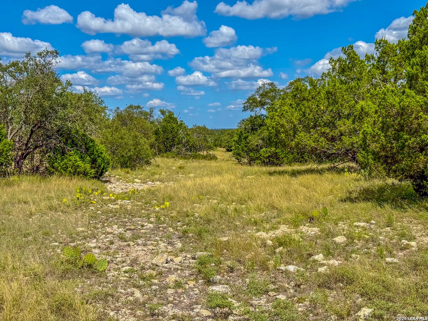 20945 Cactus Rd — photo 1