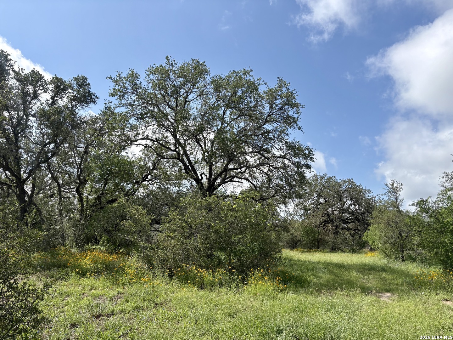 165 Sanctuary Ln — photo 1