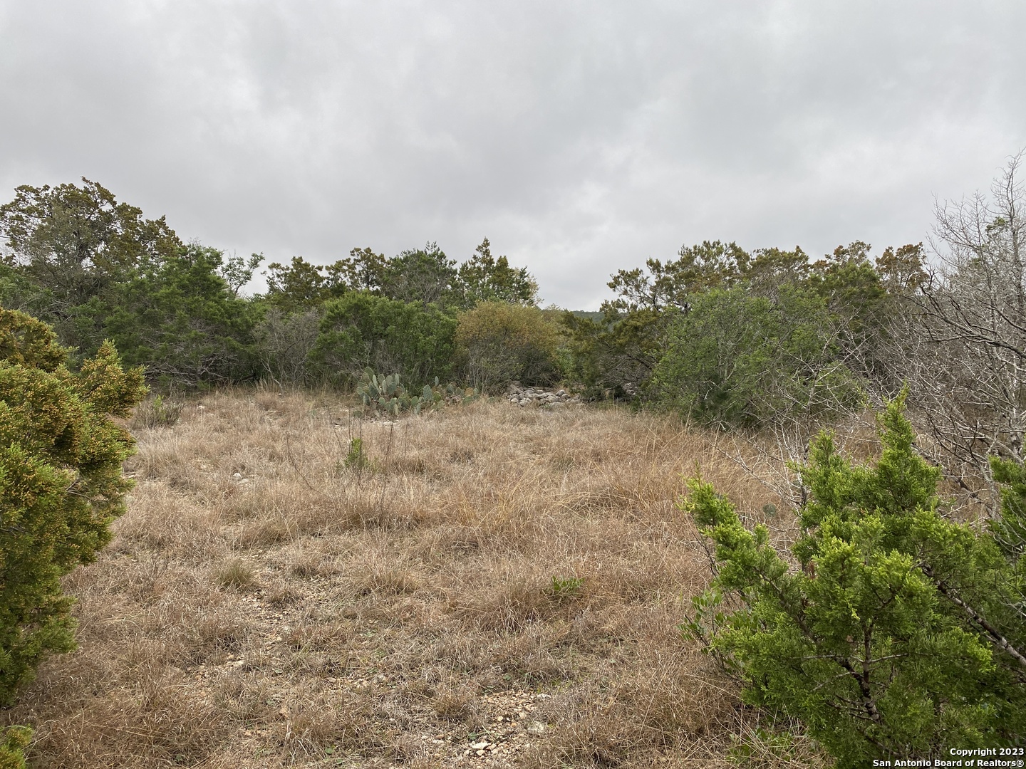 1595 Rim Rock Rd — photo 1