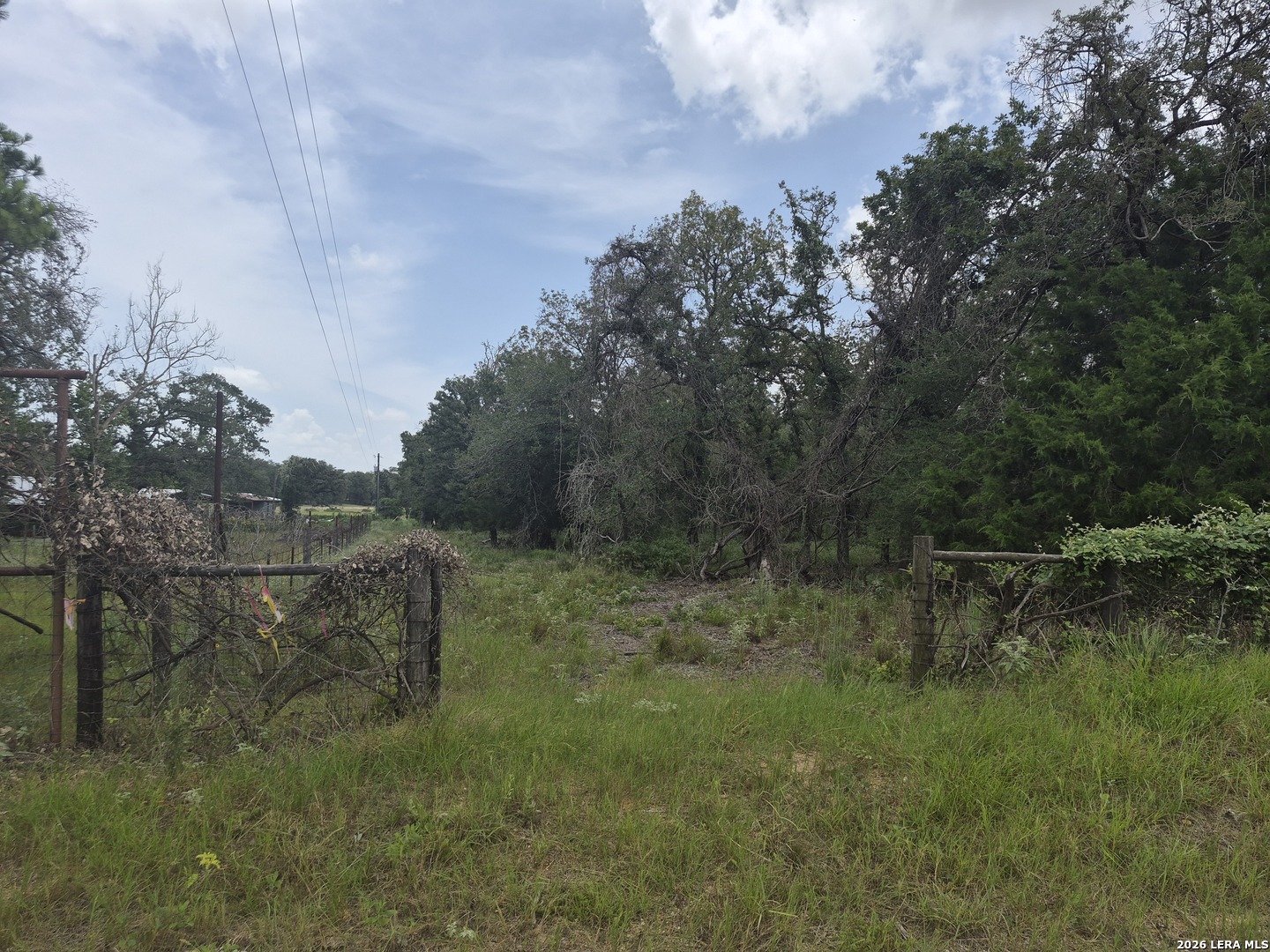 109 Longhorn Rd — photo 1