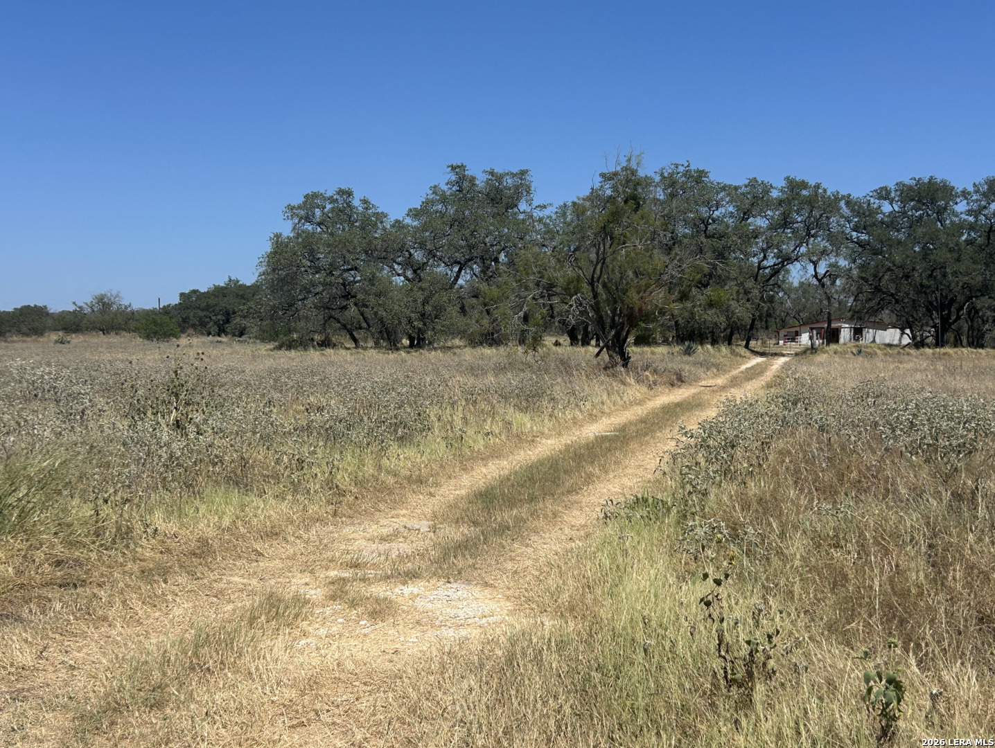 212 Majestic Oaks Dr — photo 1