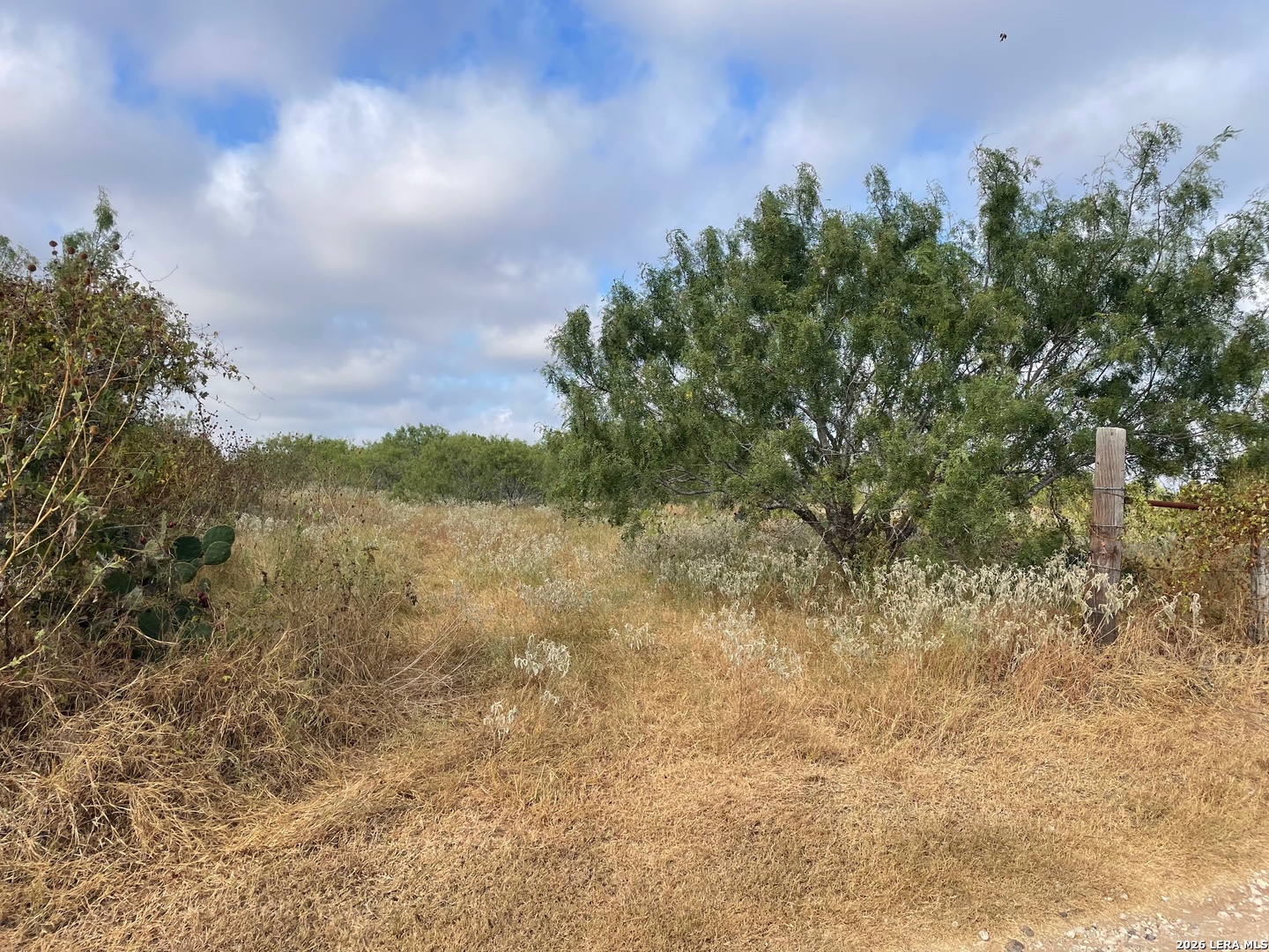 3 Acres Tbd CR 118 — photo 1