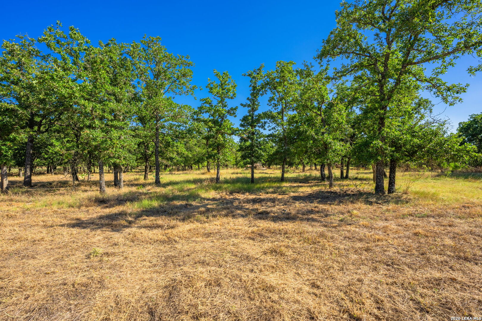 560 Mystic Oaks Trail — photo 1