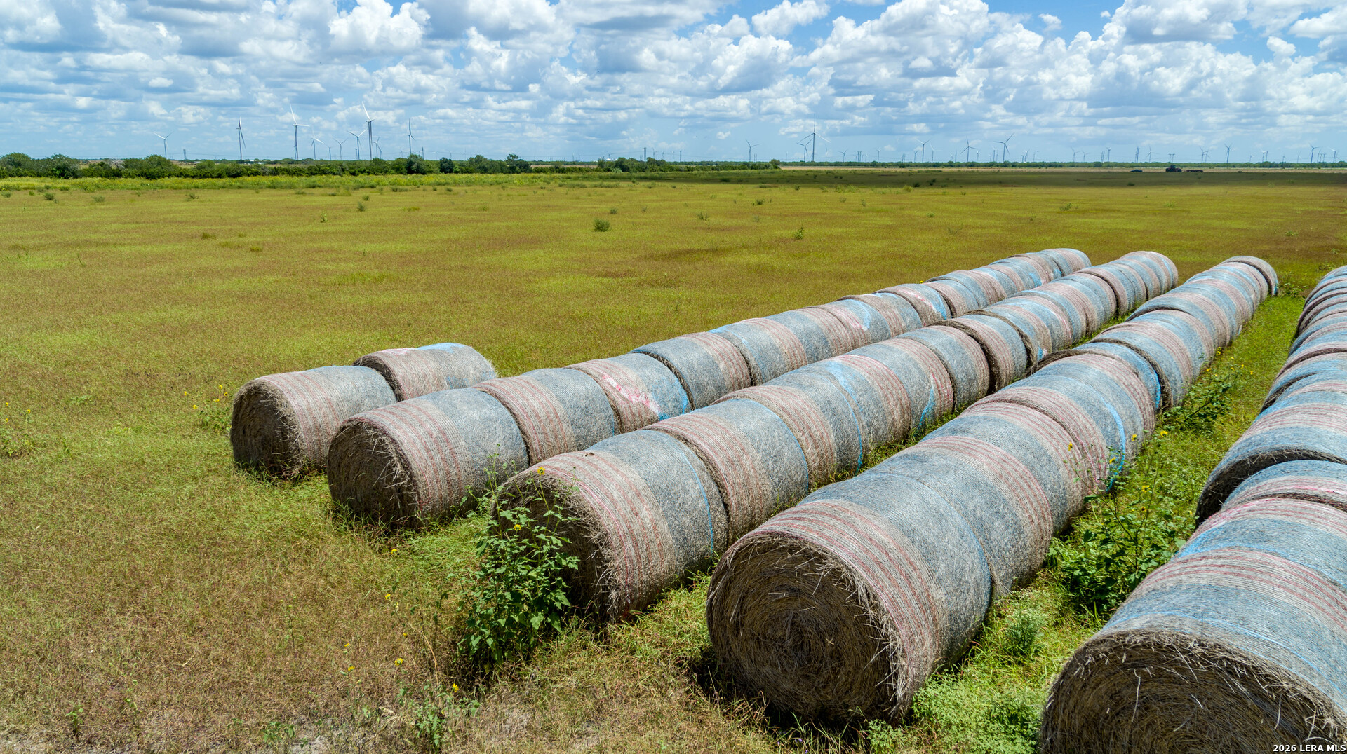 CR 647 — photo 1