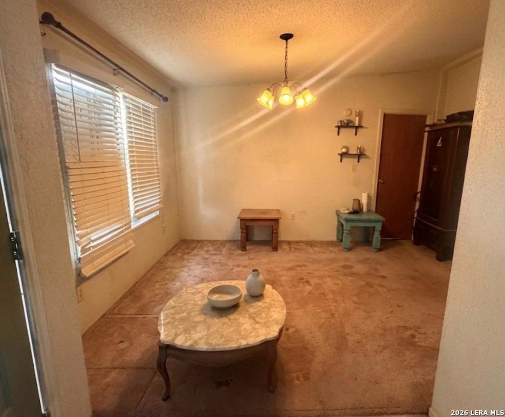 24976 Private Road 466 — photo 1