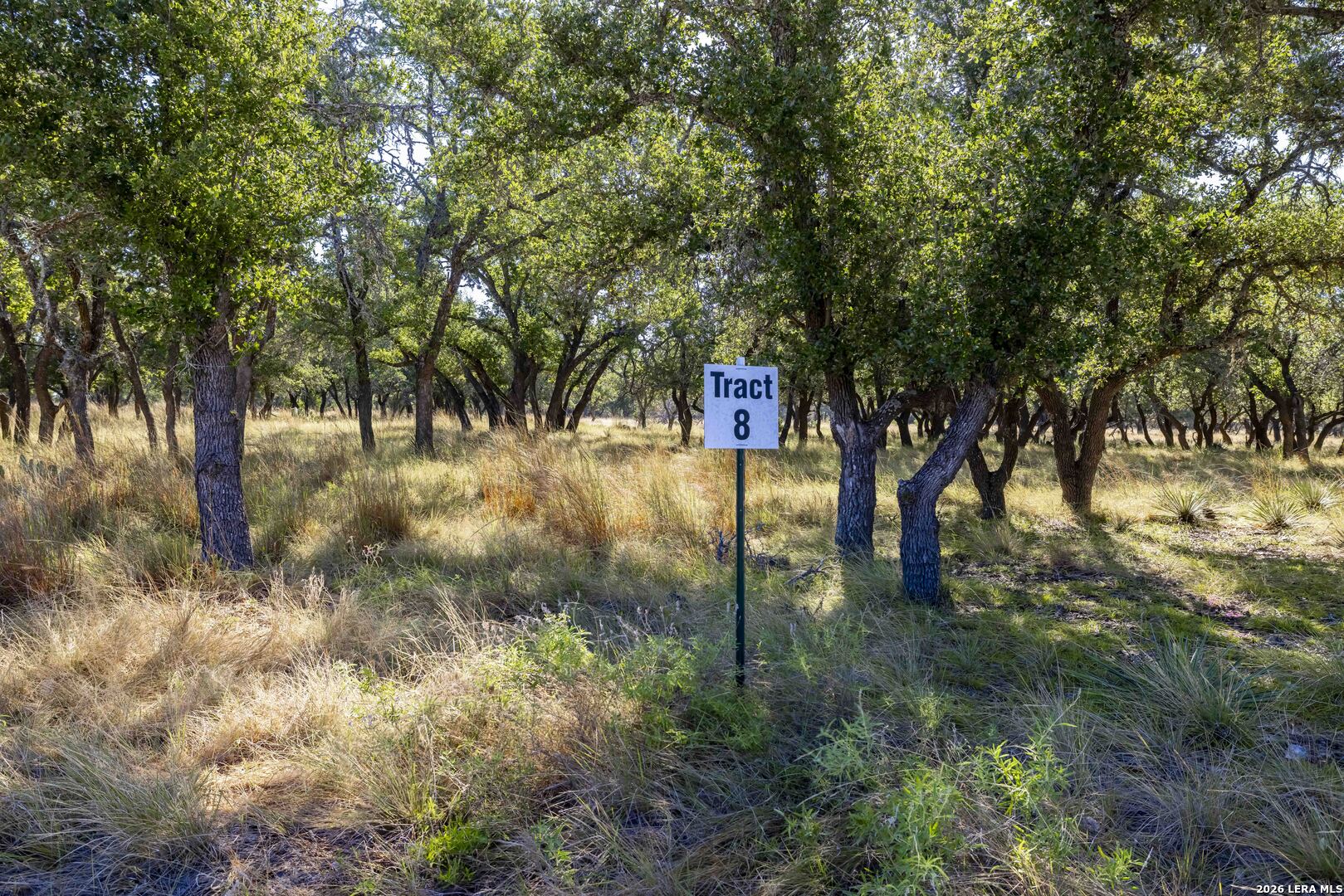 Tbd Legacy Oaks Dr. — photo 1